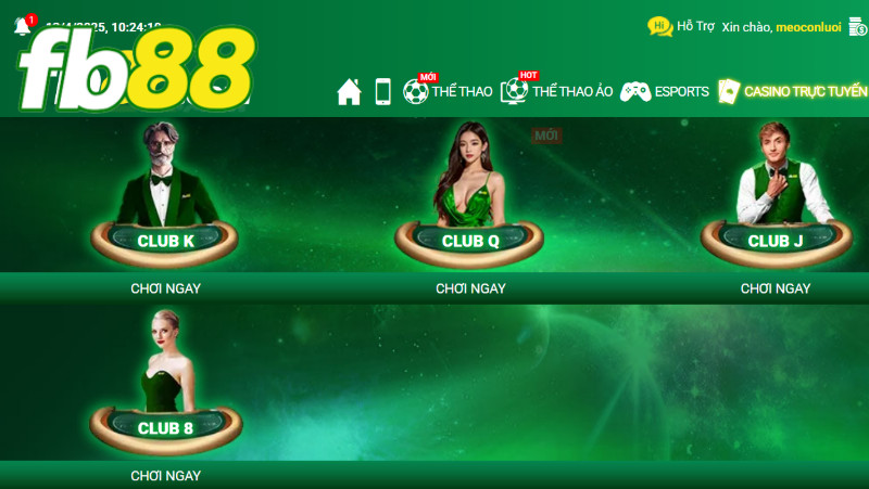 live casino